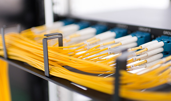 Fiber Optic Distribution&Access
